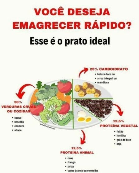 emagrecimento-19-prato-ideal-para-emagrecer