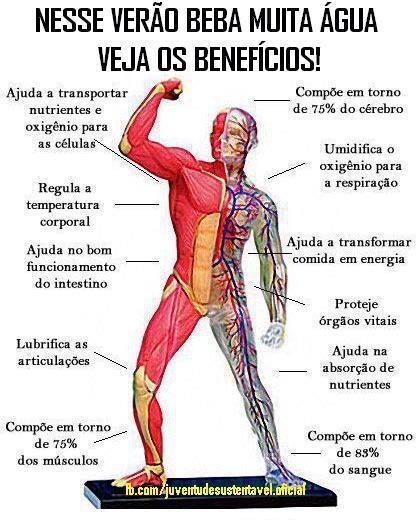 beber-agua-emagrece-mapa-mental-2